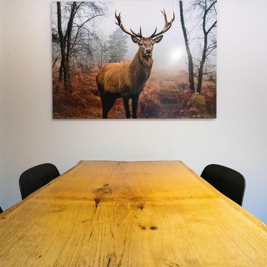 Bills Lodge, le plaisir de la rivière à 2 minutes du centre! La-Roche-en-Ardenne Extérieur photo